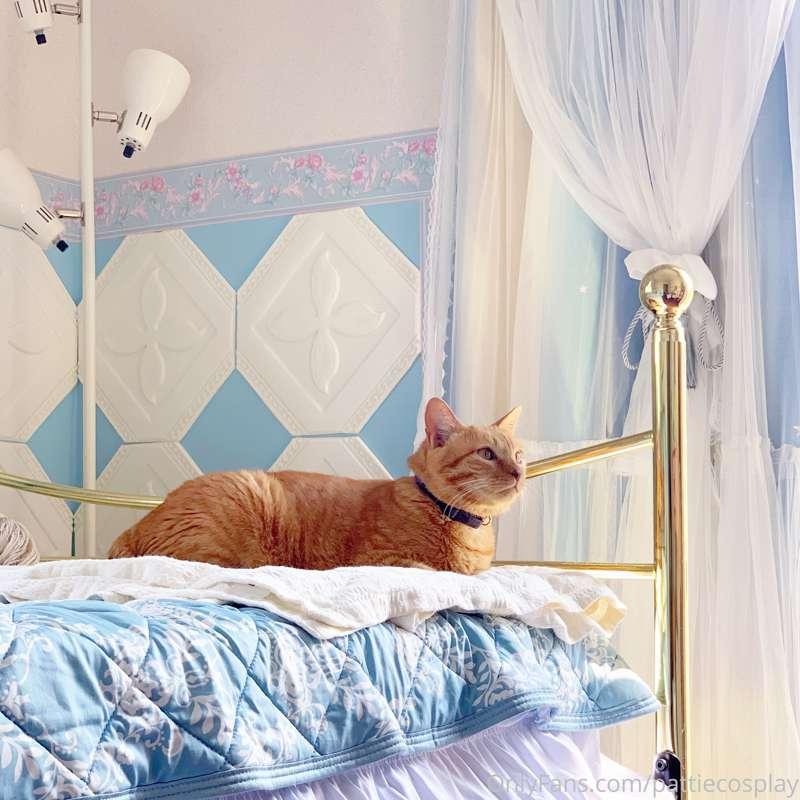 I moved into my new place today! It was hard work packing an..