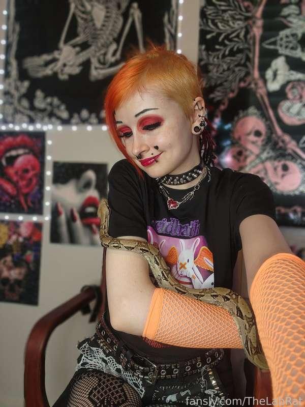 thelabrat image #4