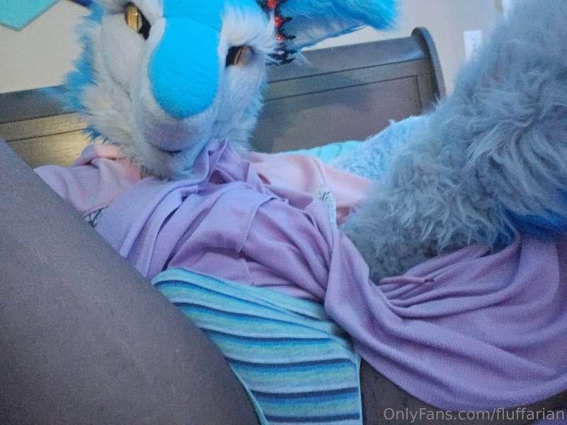 Heya~Open for sniffys and lickys~