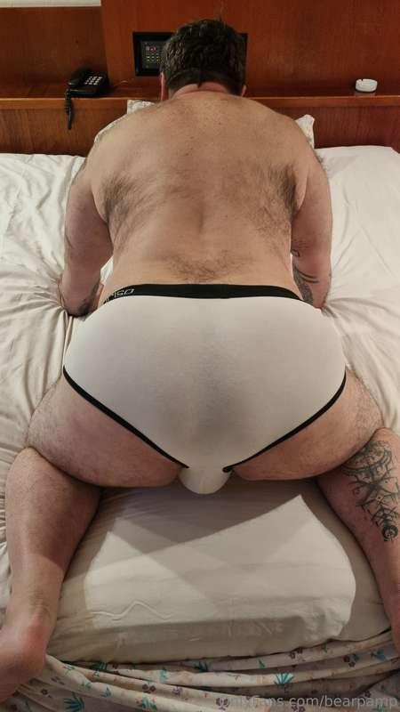 bearpamp image #0