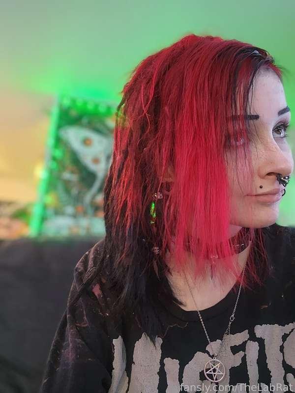 thelabrat image #2