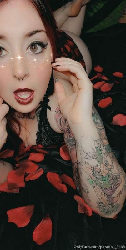 paradox_5683 image #1