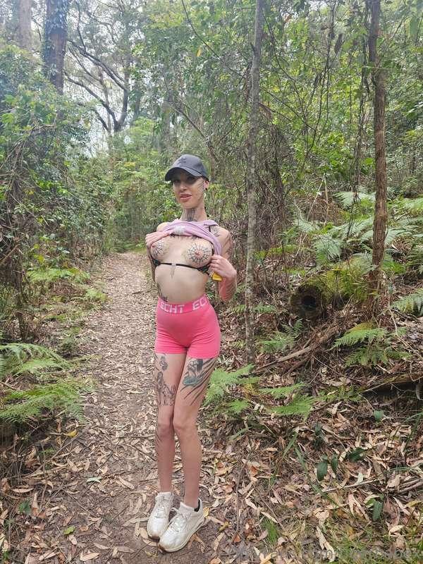 Wild Tiger spotted in the Bush 🐅
