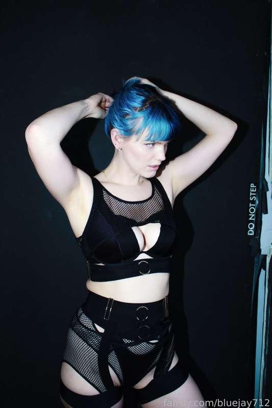 bluejay712 image #15