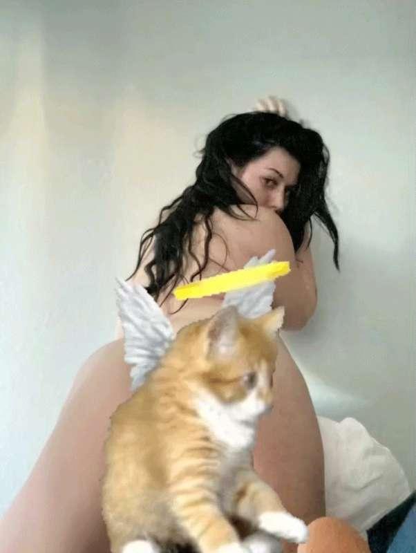 davithefairy image #0