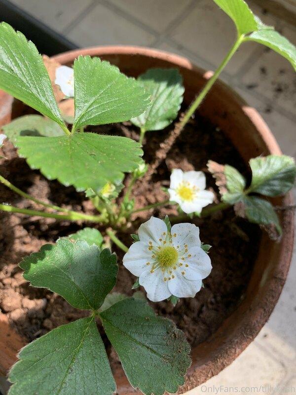 Welcome to a new month! It’s April 1st but you’ll never have..