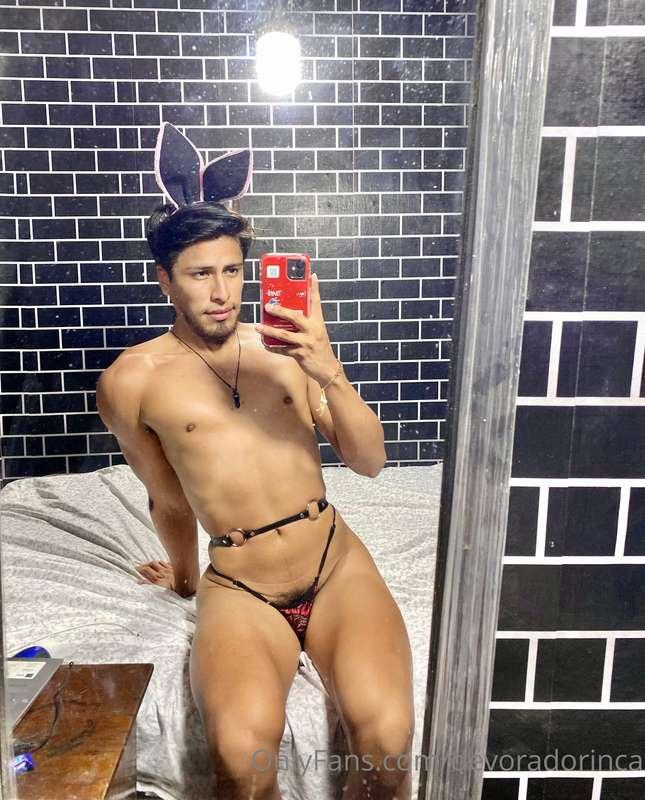 🐰 @devoradorinca
