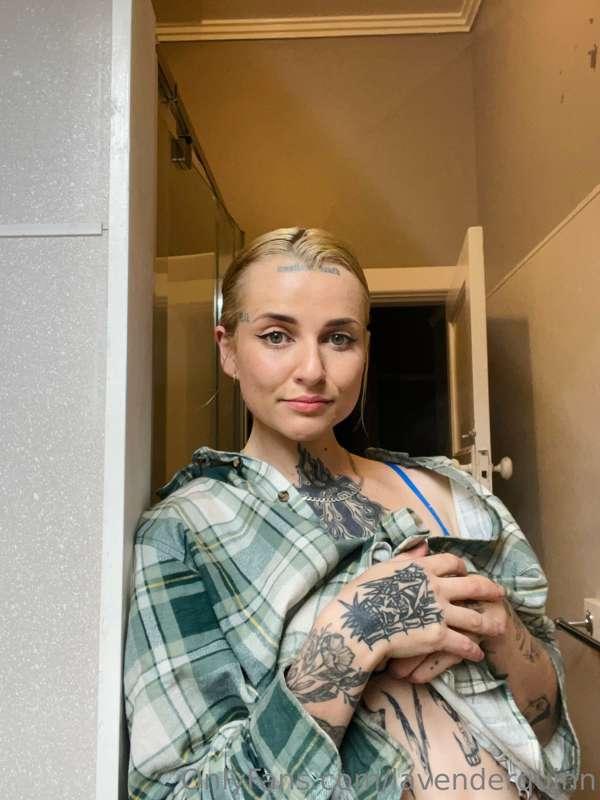 lavenderquinn image #0