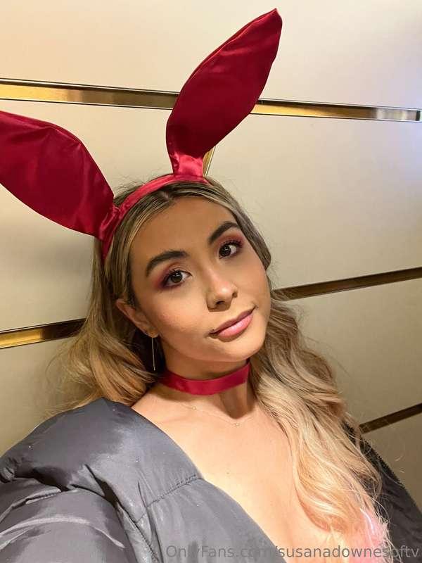 🐰 💕