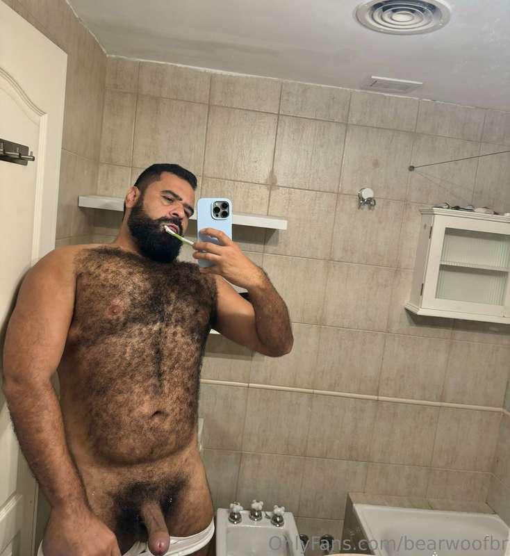 🐻
