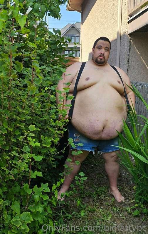 Fat boy spotted in the bushes..looking for snacks. One week ..