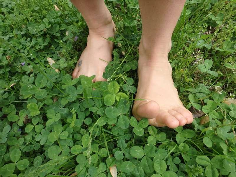 Find me a four leaf clover.🍀 You'll be so wrapped up in the ..