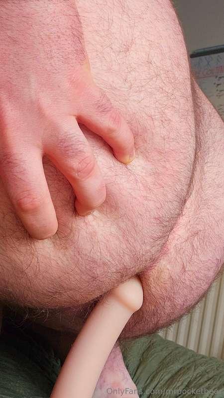 mrpocketbear image #9