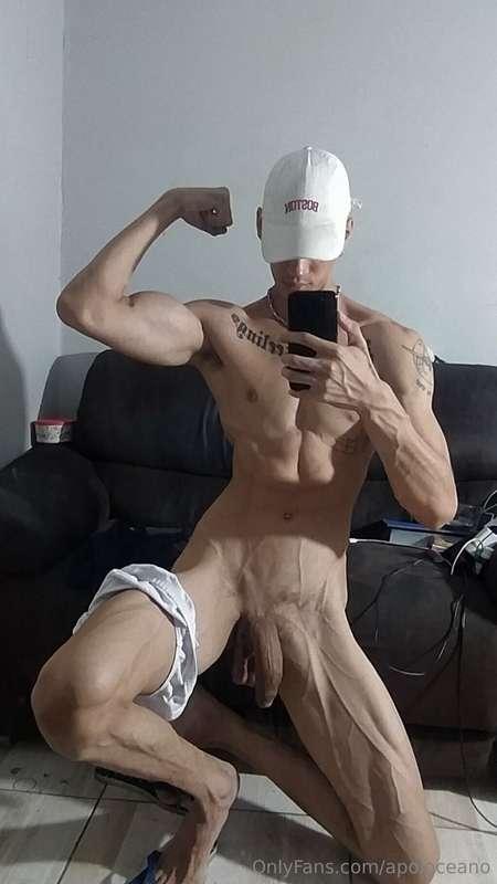 apoloceano main image