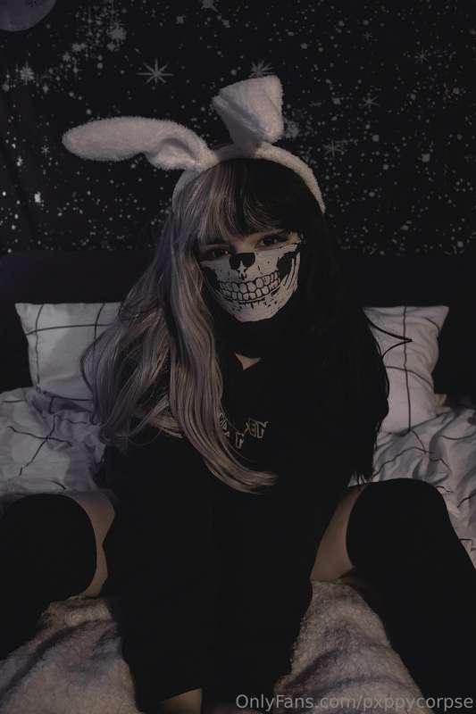 pxppycorpse image #2