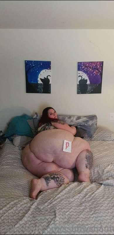 ssbbwshannonmarie image #0