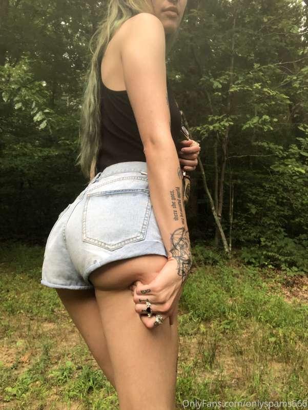 🌳🌲🌿🌱🍃🌾