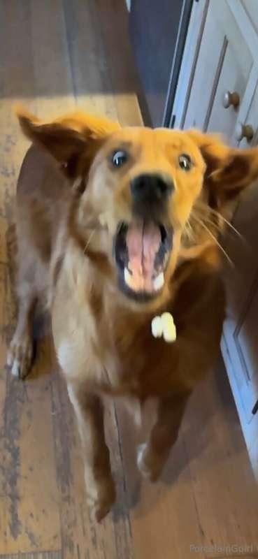 Caught in the right moment lmao