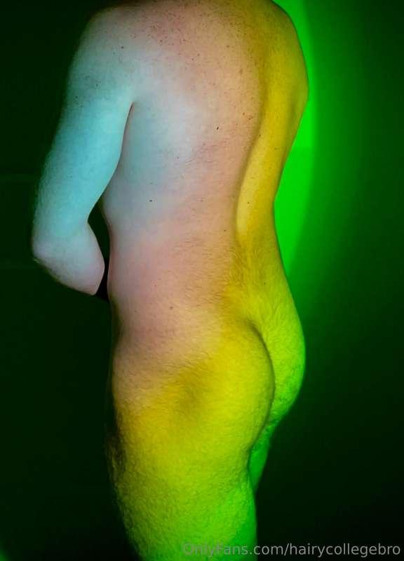 hairycollegebro image #0
