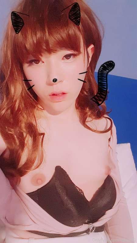 cdwant2 image #5