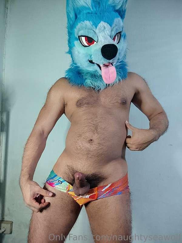 naughtyseawolf image #0