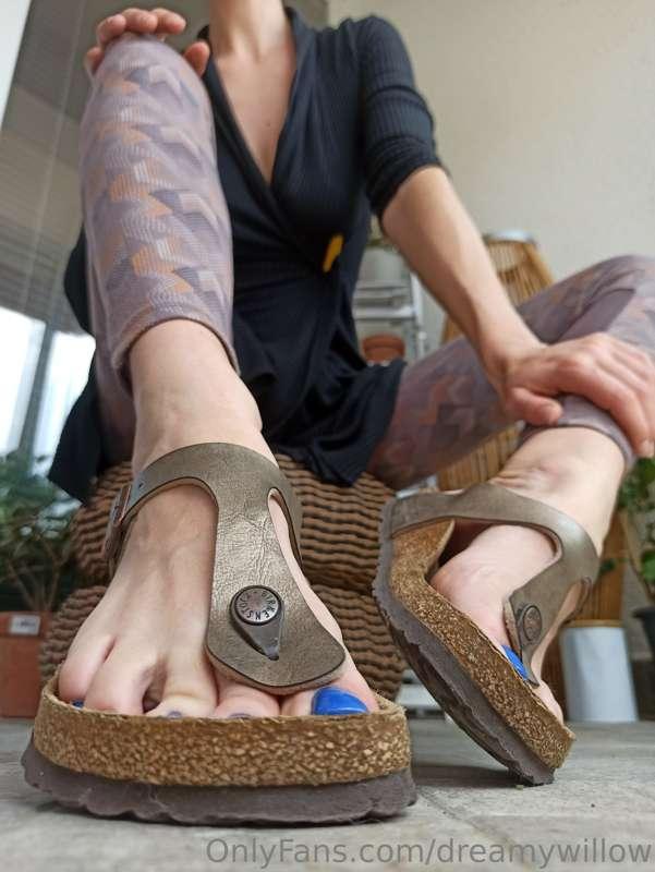 dreamywillow image #2