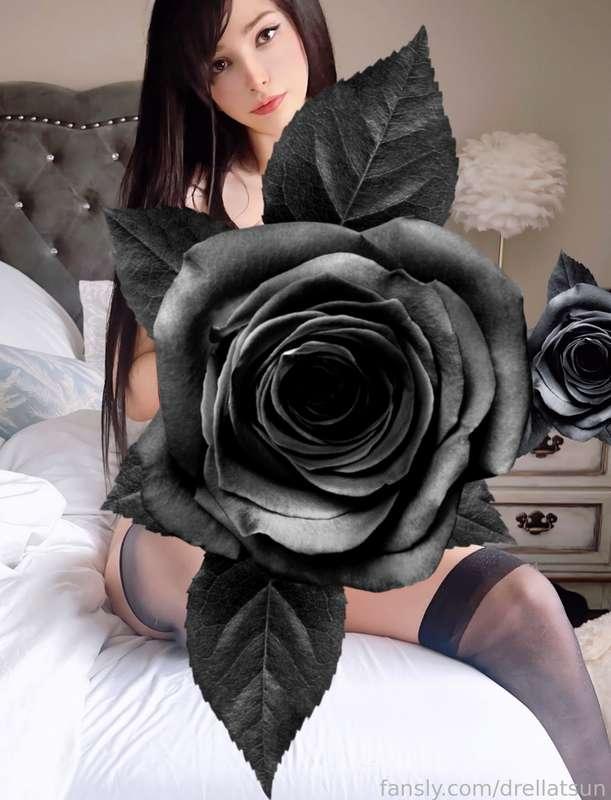 drellatsun image #1