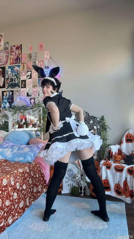 indigowhite image #23