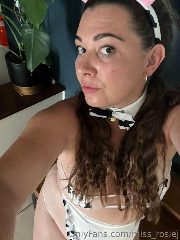 I was a little naughty the past few days, I have just been s..