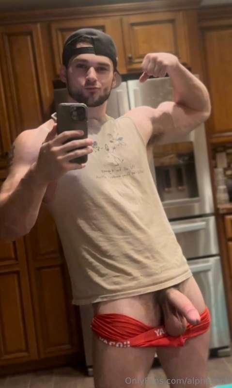 alphazack image #4
