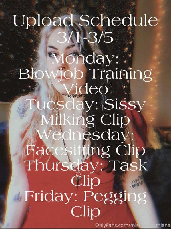 Upload Schedule for this week. Who is excited??