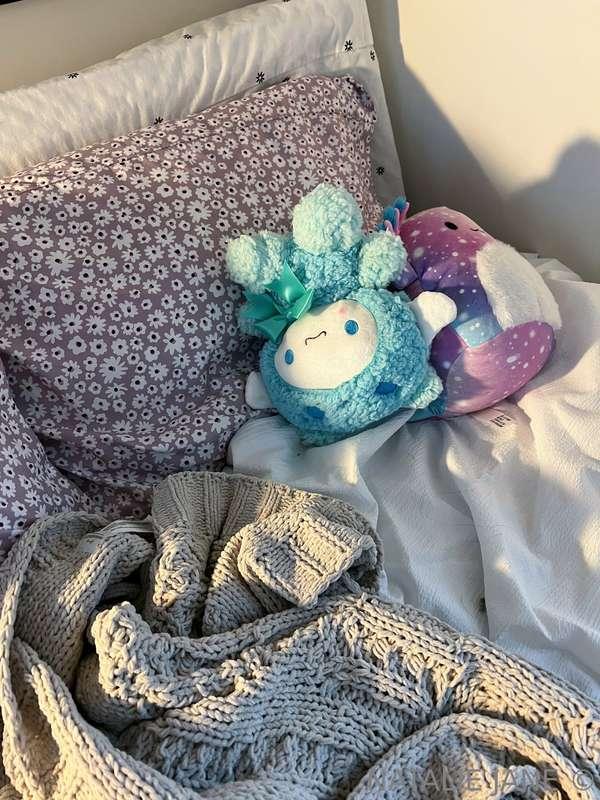 need a netflix and chill partner who won’t kick my stuffies ..