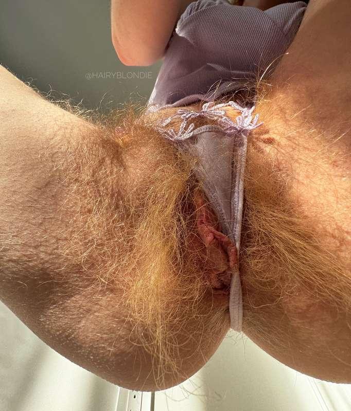 hairyblondie image #4