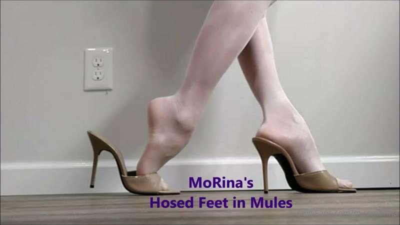 Free preview of "MoRina's Hosed Feet in Mules"
Gorgeous shee..