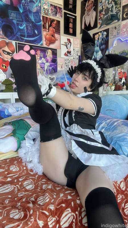 indigowhite image #44