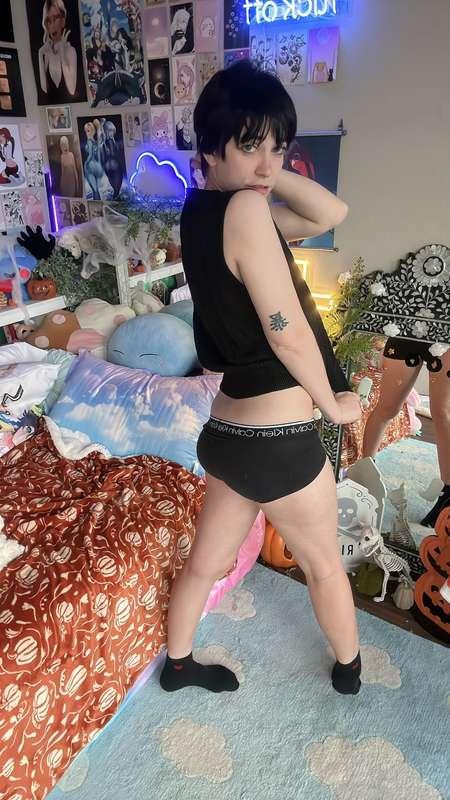 indigowhite image #17