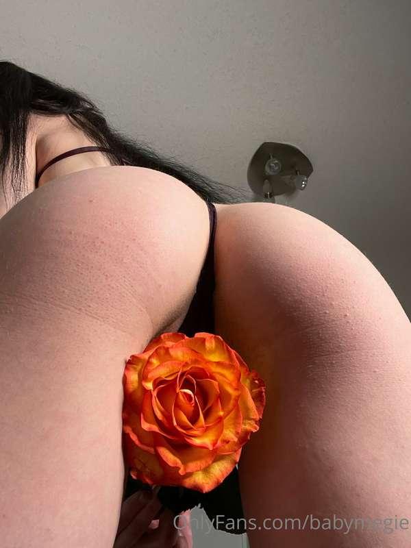 🌹