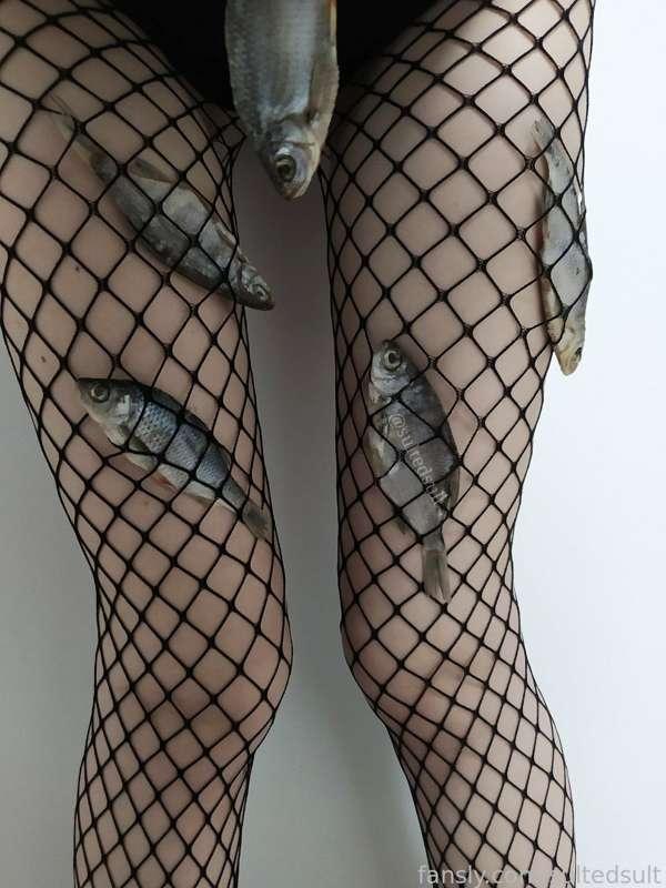 sultedsult image #1