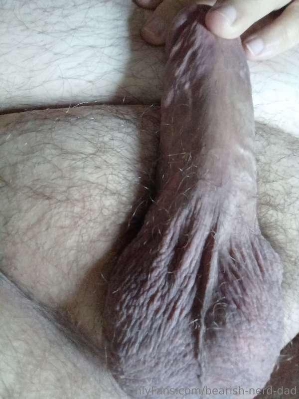 bearish-nerd-dad image #0