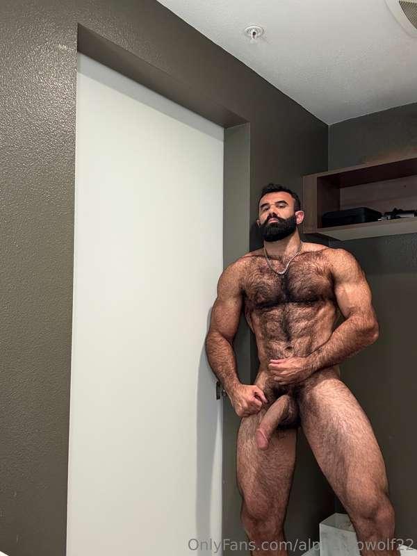 alphatopwolf22 image #0