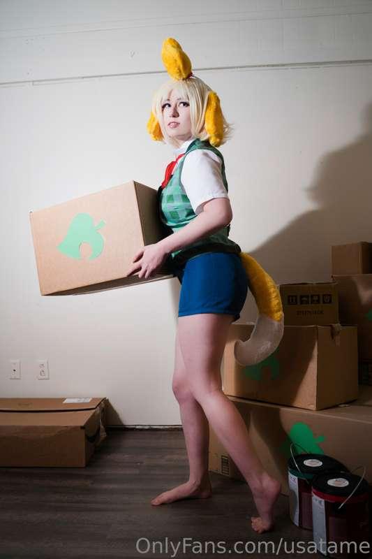 You ordered so many things, I came along as the freebie :3