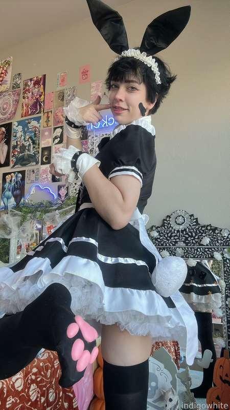 indigowhite image #48
