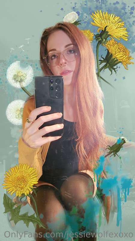 Filters 🍄