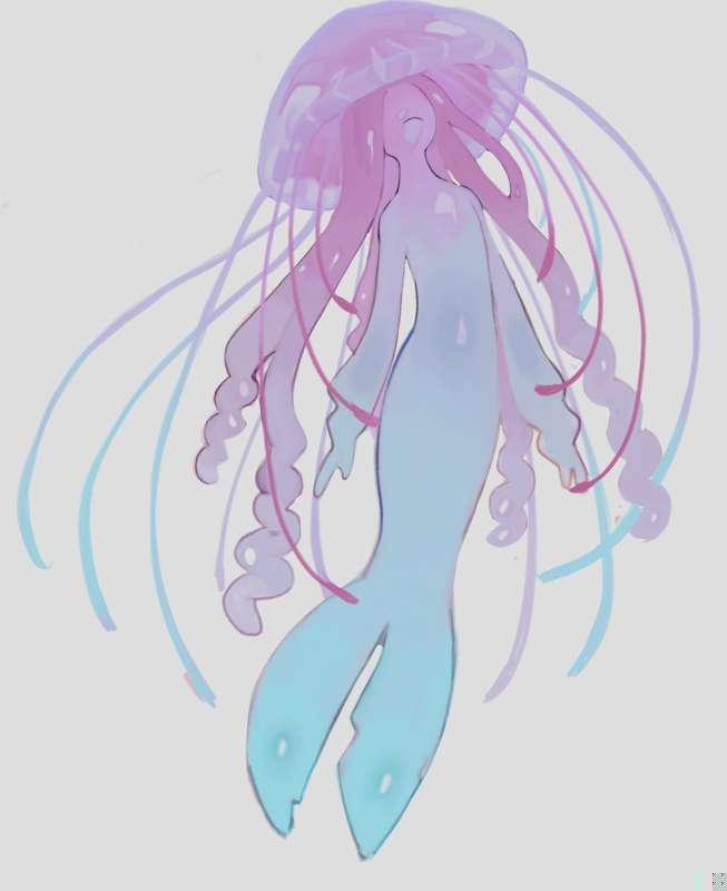 jelly fish
