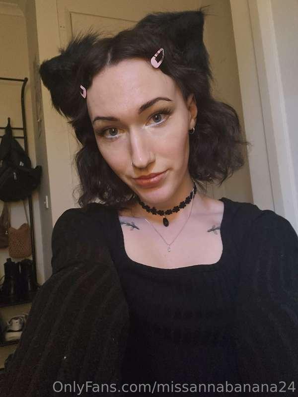 I spent the day as a catgirl...