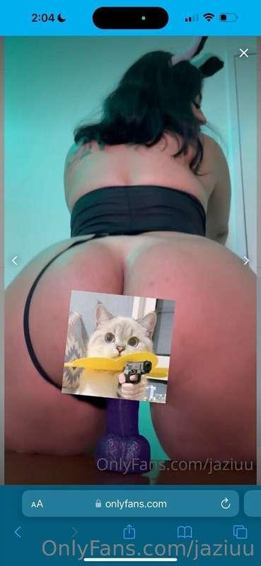 Esta conejita tiene muchas ganas de saltar y saltar sobre tu..