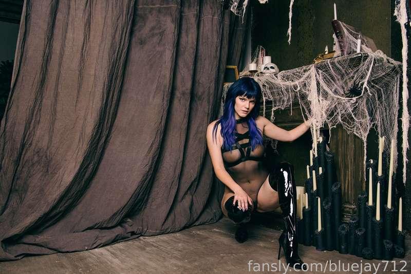 bluejay712 image #13