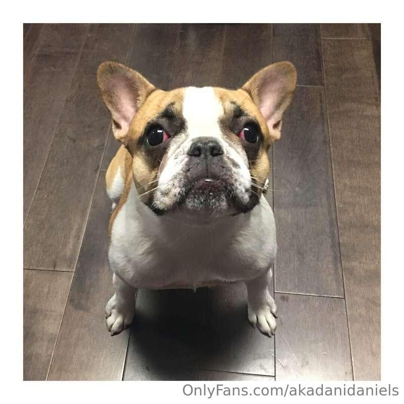 As many of you may have seen on social media, we lost our li..