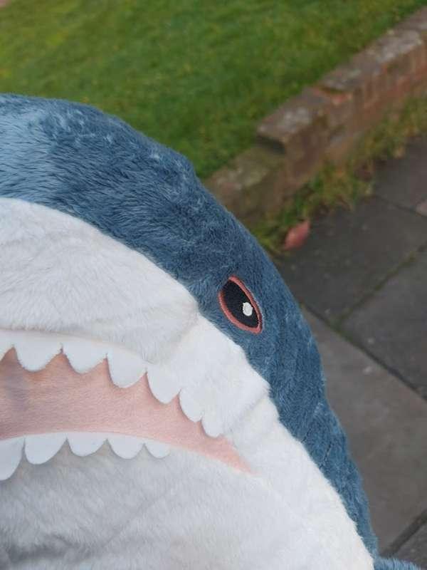 Another photobomb?!