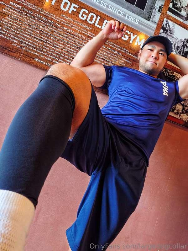 largedogcollar image #0